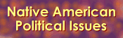Native American Political Issues - 7k