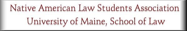 NALSA chapter logo