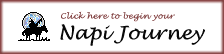 Enter NAPI Here