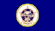 Minnesota State flag