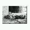 A child dead by hunger lying on a doorstep