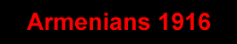 Armenians 1916