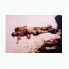 Dead Kurds decapitated