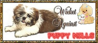 Help Stop Puppy Mills!
