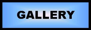 Picture Gallery
