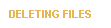 DELETING FILES