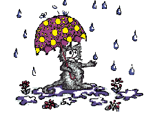 CAT IN THE RAIN