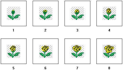 EXAMPLE OF ANIMATION FRAMES