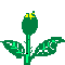 ENLARGED YELLOW ROSE EXAMPLE