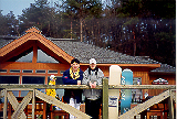 at Yongpyong