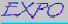 Expo.gif (451 bytes)