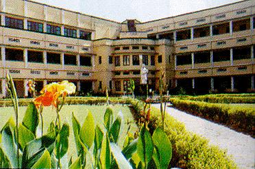 The quadrangle