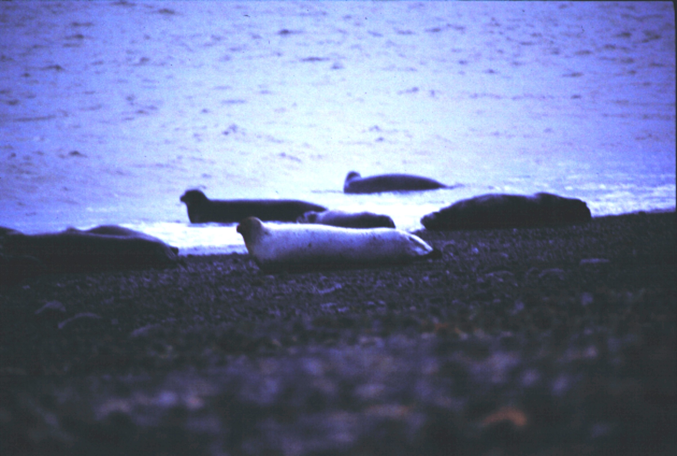 sofo photo fall 2000 32