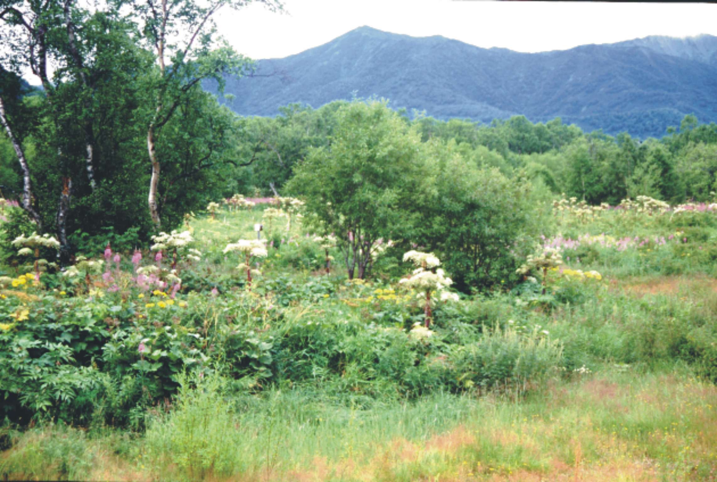 sofo photo fall 2000 4