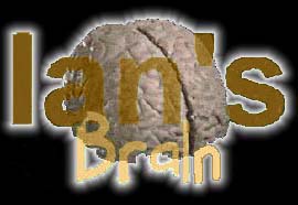 Welcome to my brain!