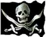 A Pirate Flag!
