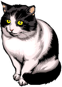 gato10.wmf (8898 bytes)