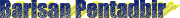 barisanptdb.gif (1684 bytes)