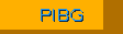 btn2_PIBG.gif (609 bytes)