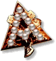 Alpha Gamma Delta Badge