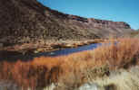 gorge.jpg (72756 bytes)