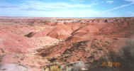 painted.jpg (49424 bytes)