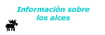 Información sobre los alces