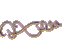 g79blankbutton.gif (1656 bytes)