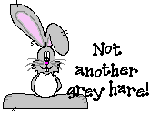 greyhare