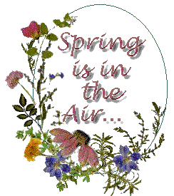 spring