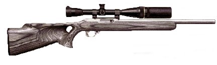 What my K10/22 will look like.