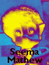 Seema Mathew (3C)