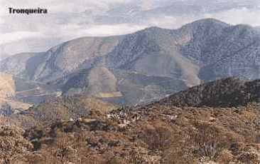 Tronqueira