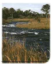Rio Formoso