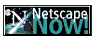 Netscape Now!