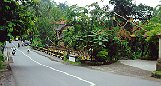 bridge at Ubud