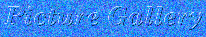 picturegallery.gif (36773 bytes)