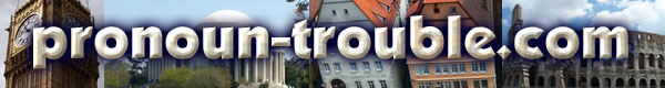pronoun-trouble.com banner