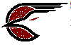 Former (IHL) San Diego Gulls Logo
