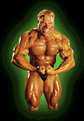 Body Builder