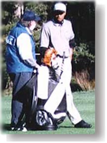 Tiger, Fluff, and Bag