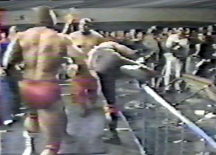 Zenk vs Abby 4