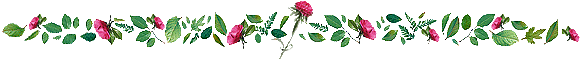 flowerbar5