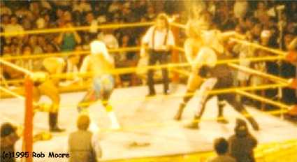 Tag-team fight