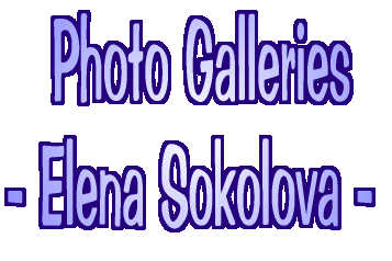 Photo Galleries