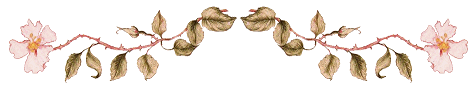 fairyline.gif (13619 bytes)