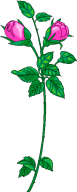 flow143.gif (5834 bytes)