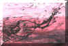 pait2.JPG (129595 bytes)
