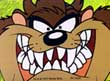taz.jpg (9703 bytes)