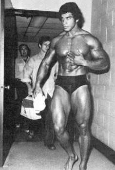 Lou Ferrigno